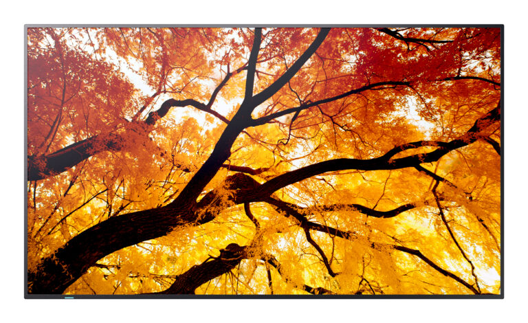 Monitor Sharp MultiSync M432 (60006053)