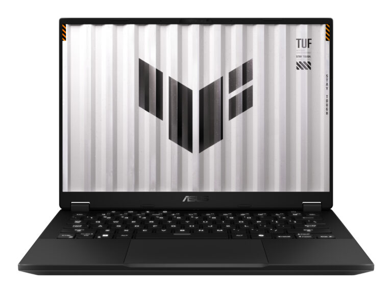 ASUS FA401UM-RG010W