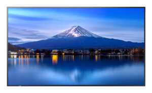 Monitor Sharp P506