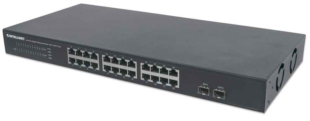 Intellinet 561044