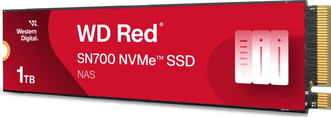 Dysk SSD SanDisk Red SN700 1TB M.2 2280 PCI-E x4 Gen3 NVMe (WDS100T1R0C)