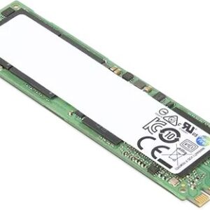 Dysk Lenovo Ramaxel S265 M.2 2242 256GB PC