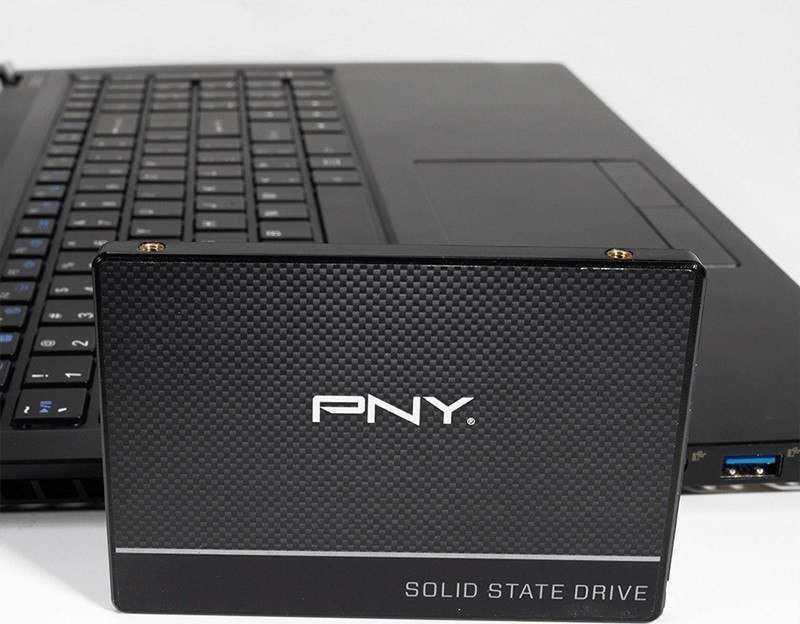 Dysk SSD PNY CS900 (bulk) 256GB 2.5" SATA III (SSD7CS900-256-BLK)