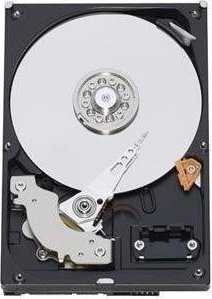 Dysk WD Blue 1TB 3.5" SATA III (WD10EARZ)