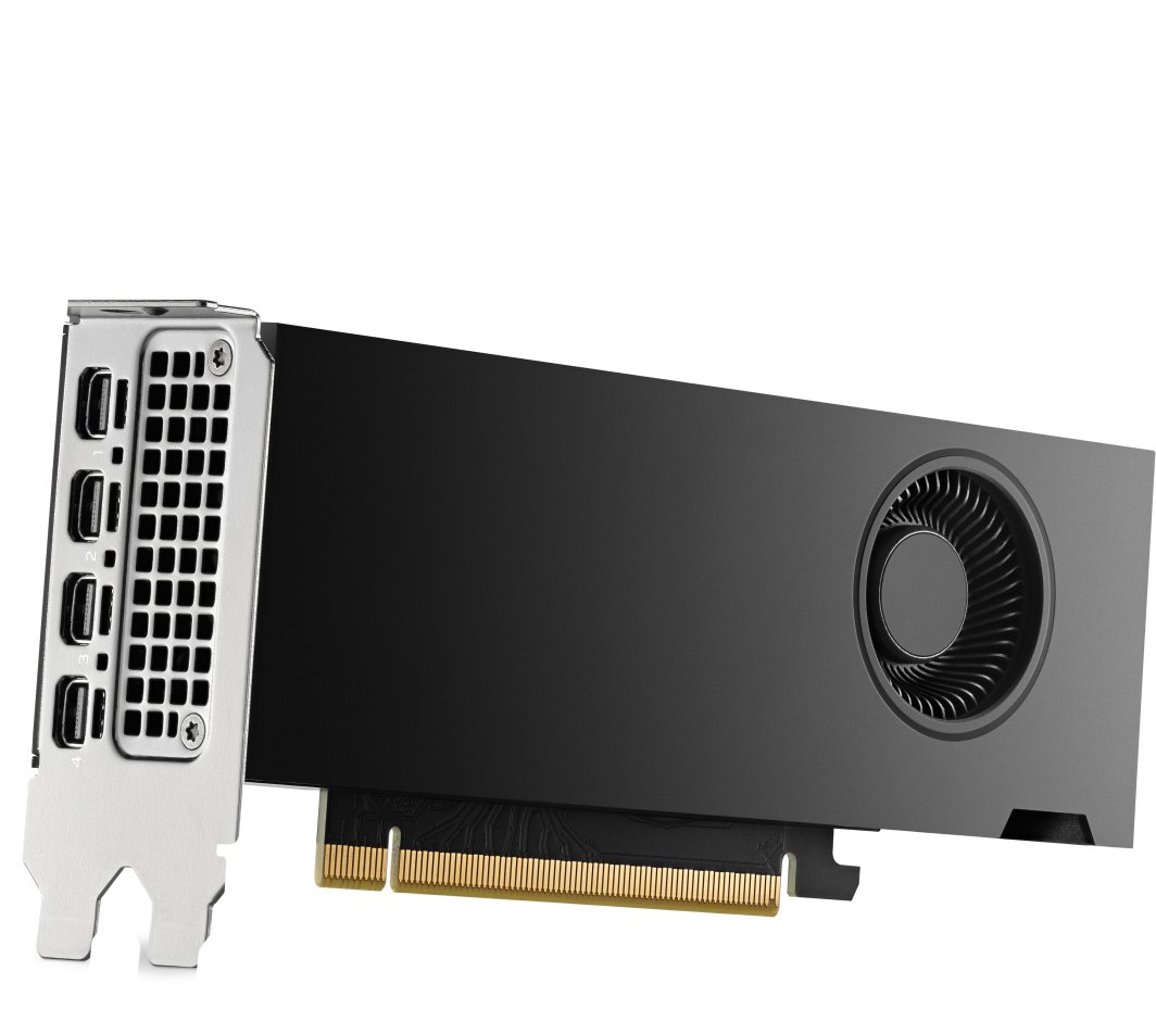 HP RTX 2000 Ada Generation 16GB GDDR6 (8D6B8AA)