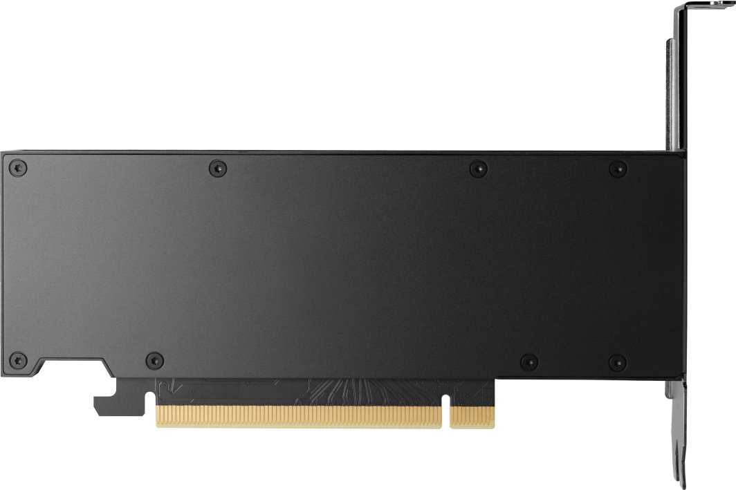 HP RTX 2000 Ada Generation 16GB GDDR6 (8D6B8AA)