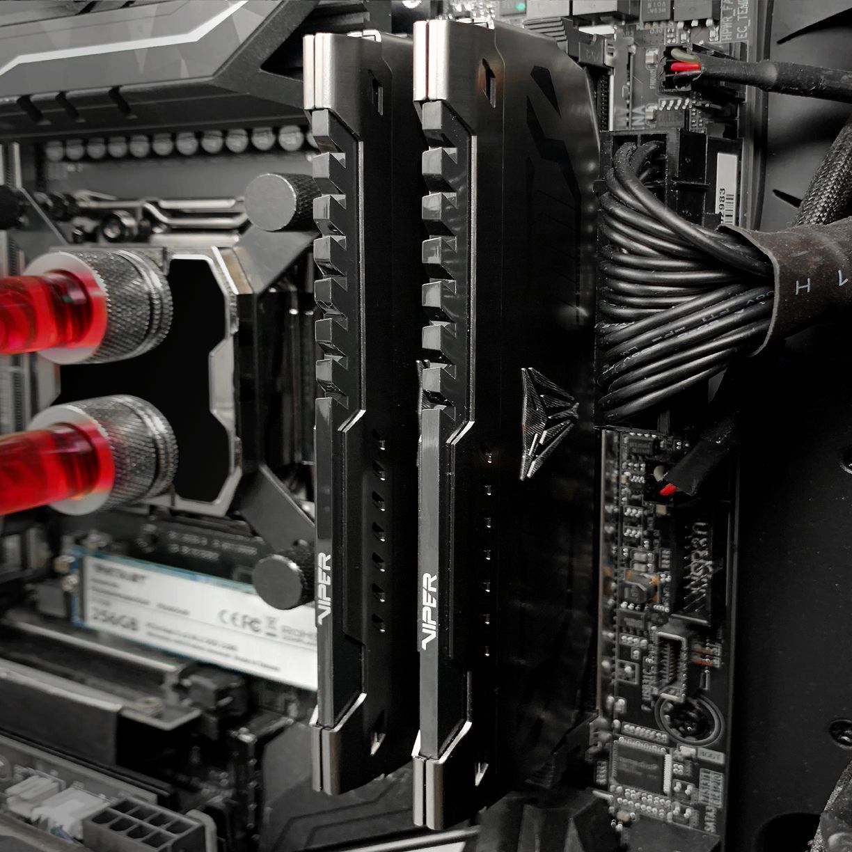 Pamięć Patriot Viper Steel, DDR4, 32 GB, 3200MHz, CL16 (PVS432G320C6)