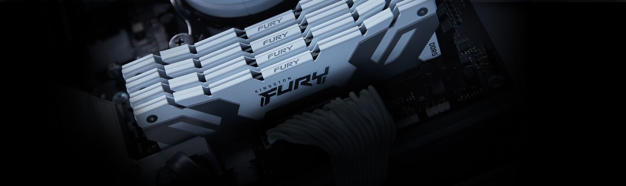Pamięć Kingston Fury Renegade, DDR5, 32 GB, 8000MHz, CL38 (KF580C38RWK232)
