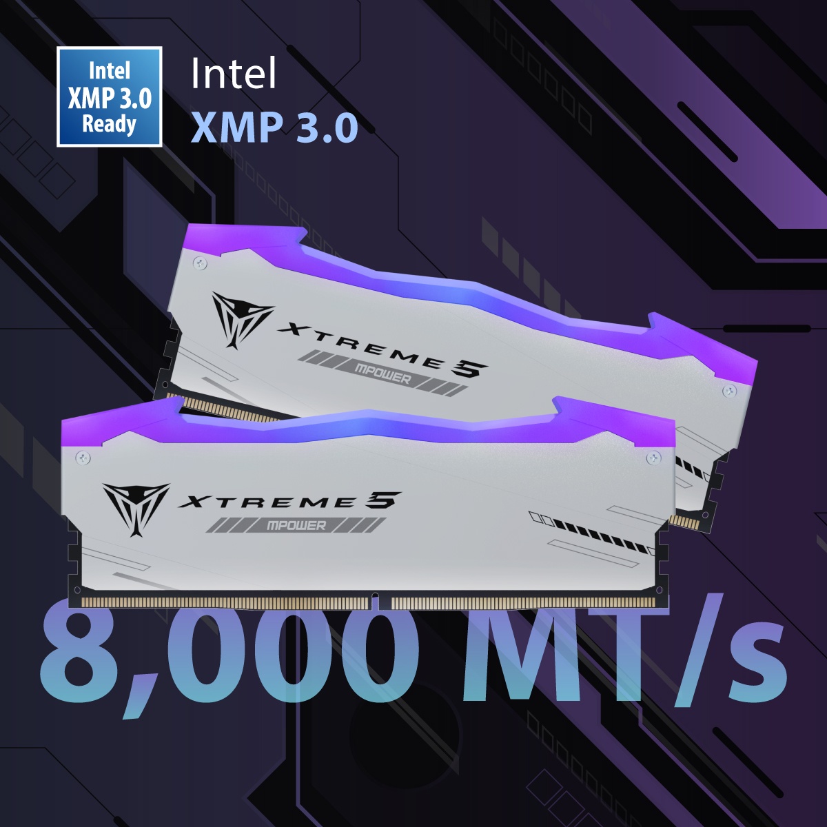 Pamięć Patriot Viper Xtreme 5 RGB MPower, DDR5, 48 GB, 6000MHz, CL30 (PVXR548G60C30KM)