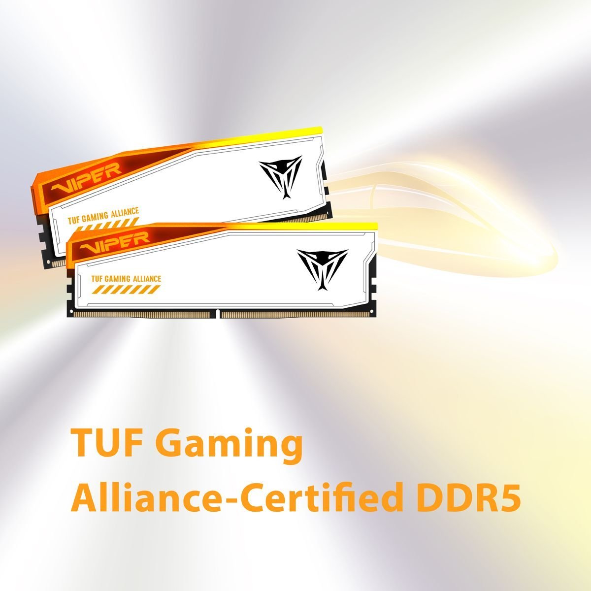 Pamięć Patriot Viper Elite 5 RGB TUF Gaming Alliance, DDR5, 32 GB, 6000MHz, CL36 (PVER532G60C36KT)