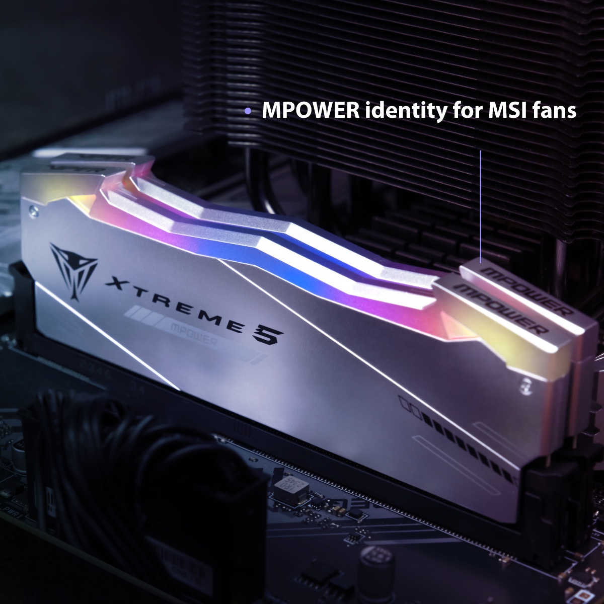 Pamięć Patriot Viper Xtreme 5 RGB MPower, DDR5, 48 GB, 6000MHz, CL30 (PVXR548G60C30KM)
