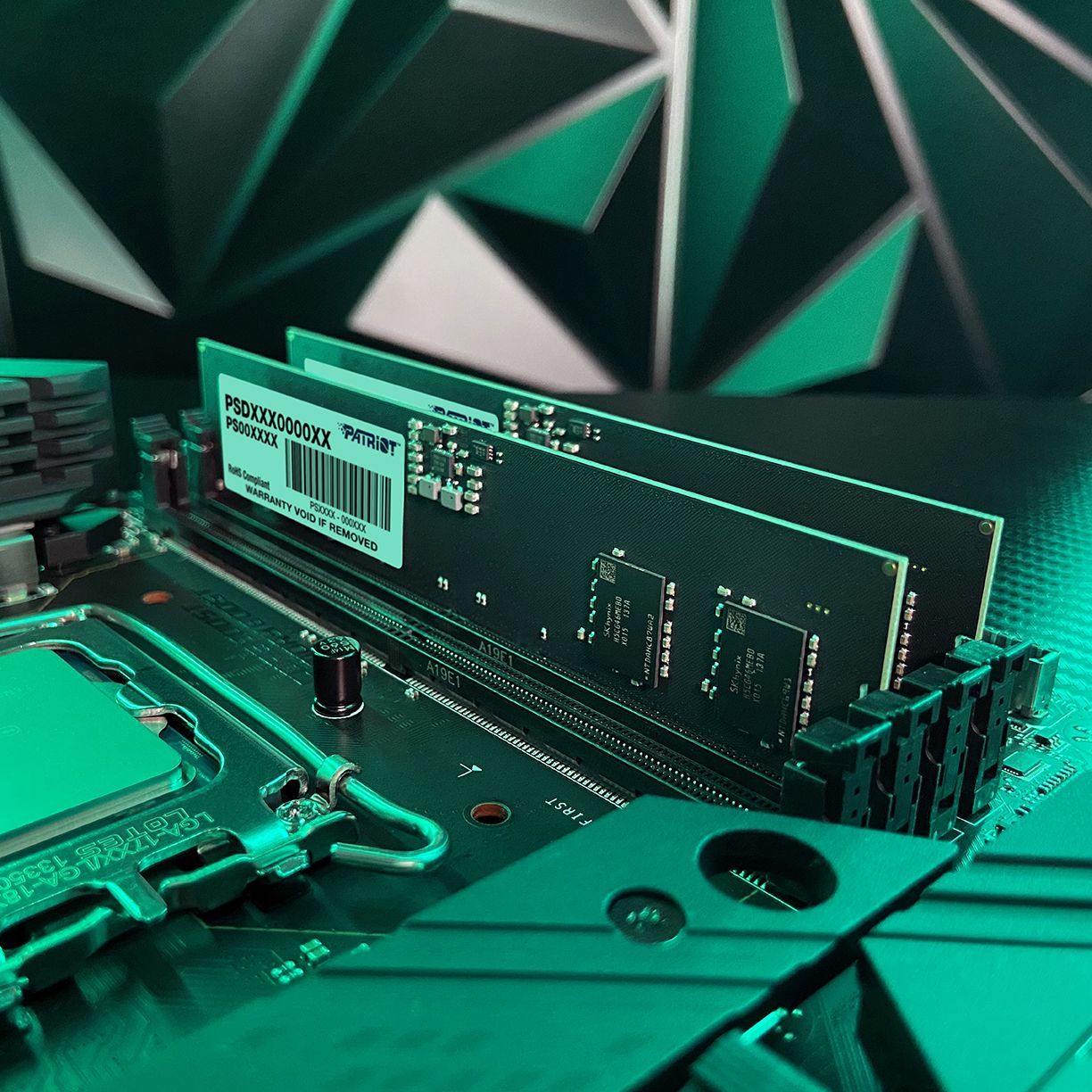 Pamięć Patriot Signature, DDR5, 16 GB, 5600MHz, CL46 (PSD516G56002)