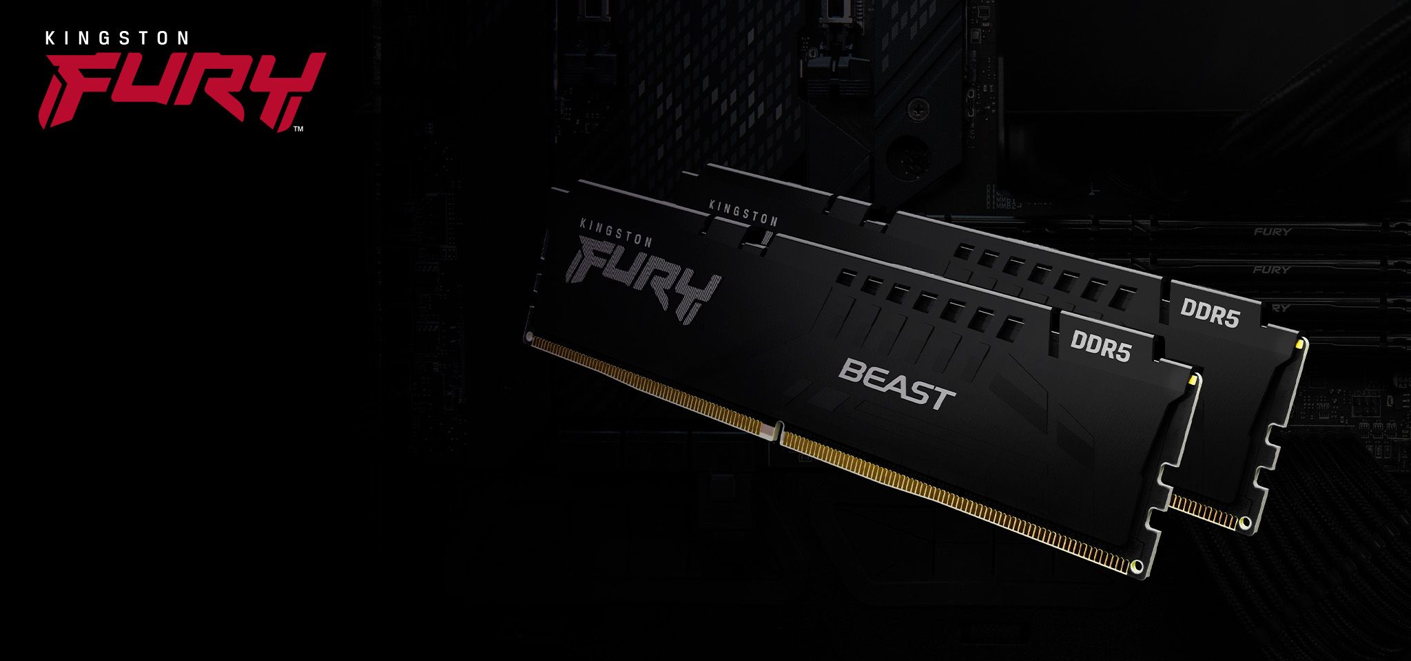 Pamięć Kingston Fury Beast, DDR5, 16 GB, 5600MHz, CL36 (KF556C36BBEK2-16)